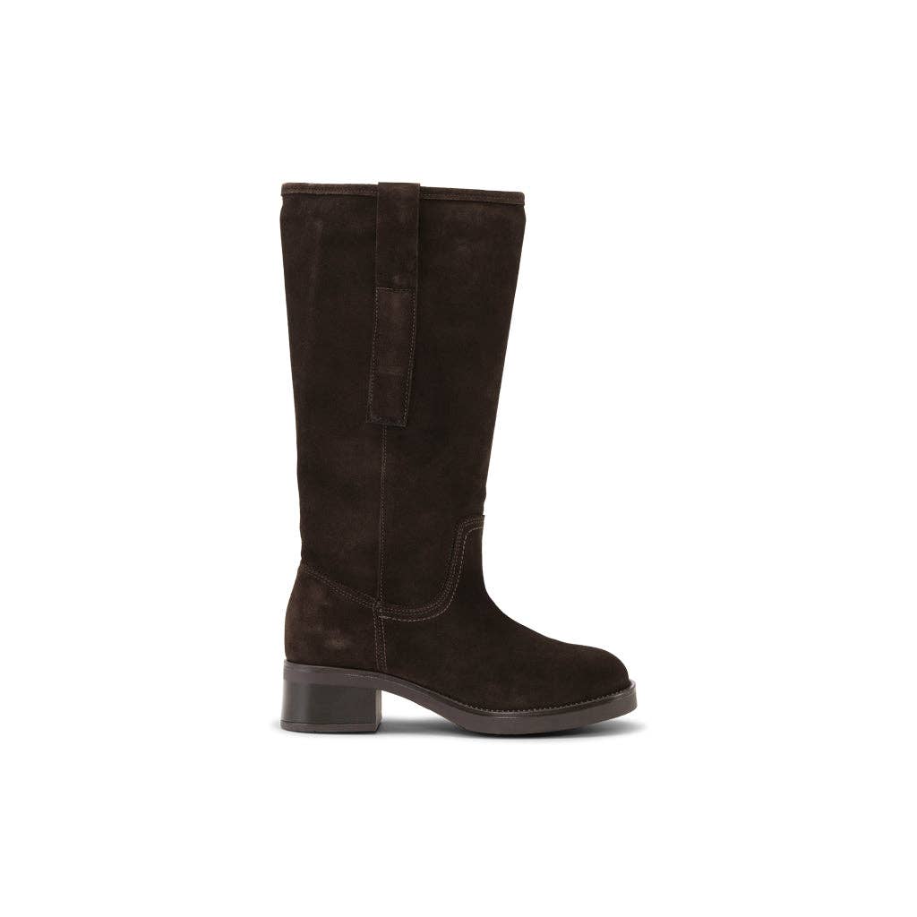 Dunkelbrauner FRANCISCA Veloursleder-Stiefel mit hohem Schaft und Blockabsatz in Seitenansicht