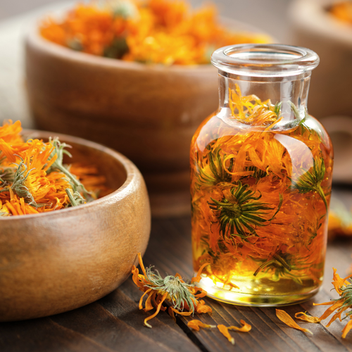 Bio Babybalsam mit Calendula