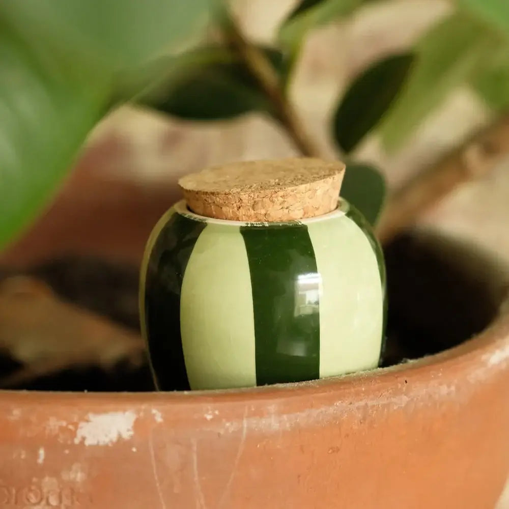 Olla - Gestreift grün & grün