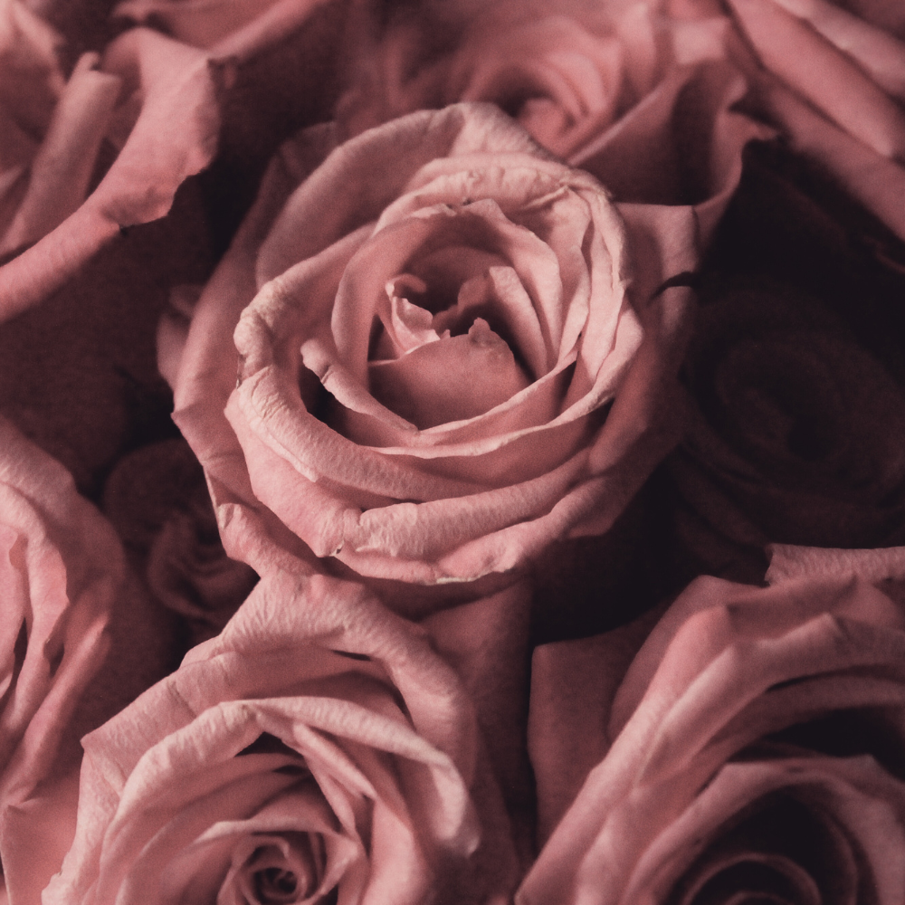 Organischer Rose Glow Balm