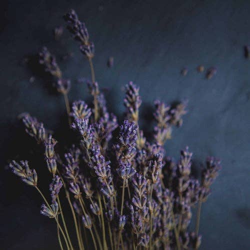 Bio-Lavendel Reparaturbalsam
